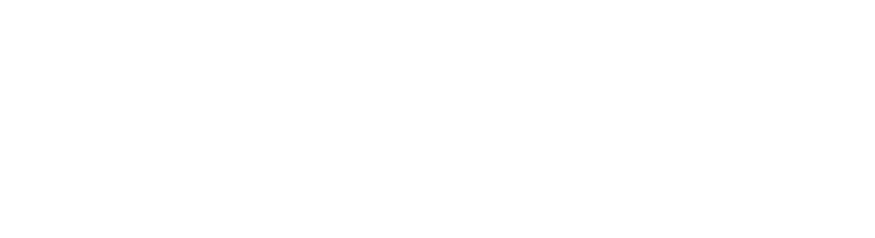 Service-Provider